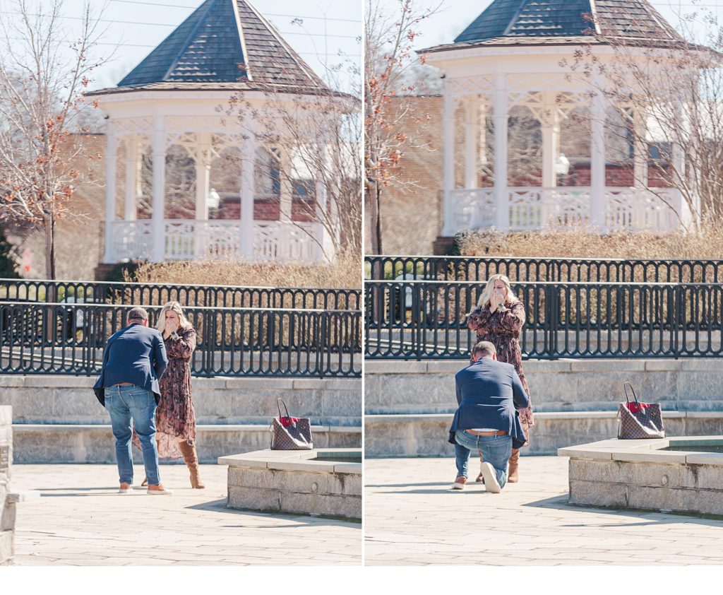 Proposal Stories, Georgia Proposal Stories